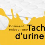 Nettoyer un matelas urine de chat
