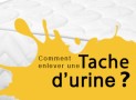 Nettoyer un matelas avec de l’urine de chat