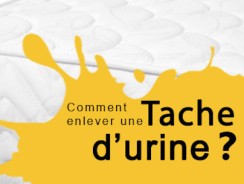 Nettoyer un matelas avec de l&rsquo;urine de chat